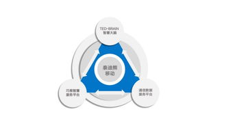 智慧場景引領(lǐng)未來 泰迪熊移動全新形象亮相世界互聯(lián)網(wǎng)大會，聚焦互聯(lián)網(wǎng)信息服務(wù)創(chuàng)新
